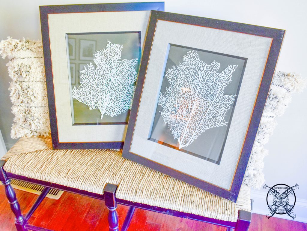 DIY Sea Fan Art Work JENRON DESIGNS