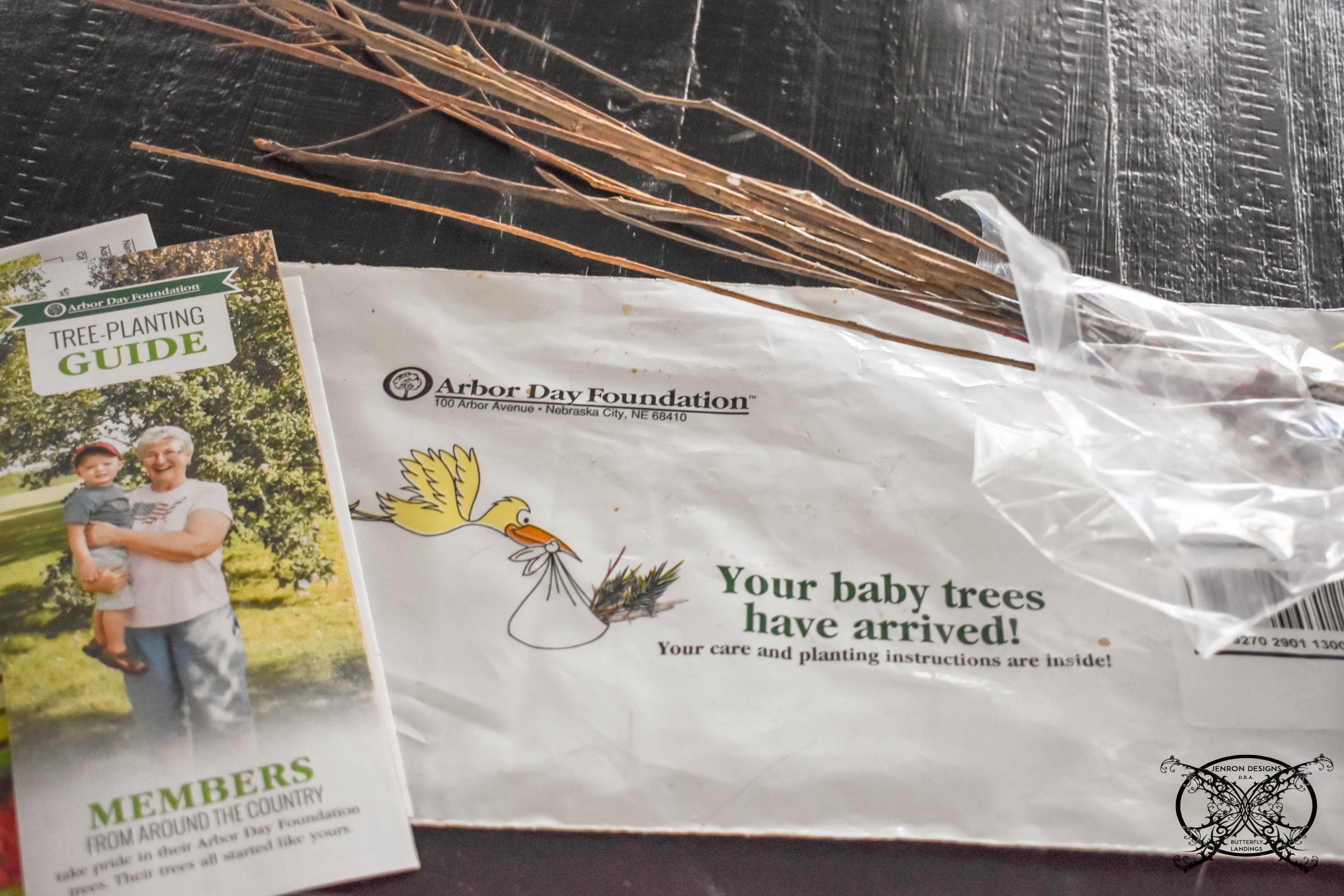 Baby Tree Arbor Foundation JENRON DESIGNS