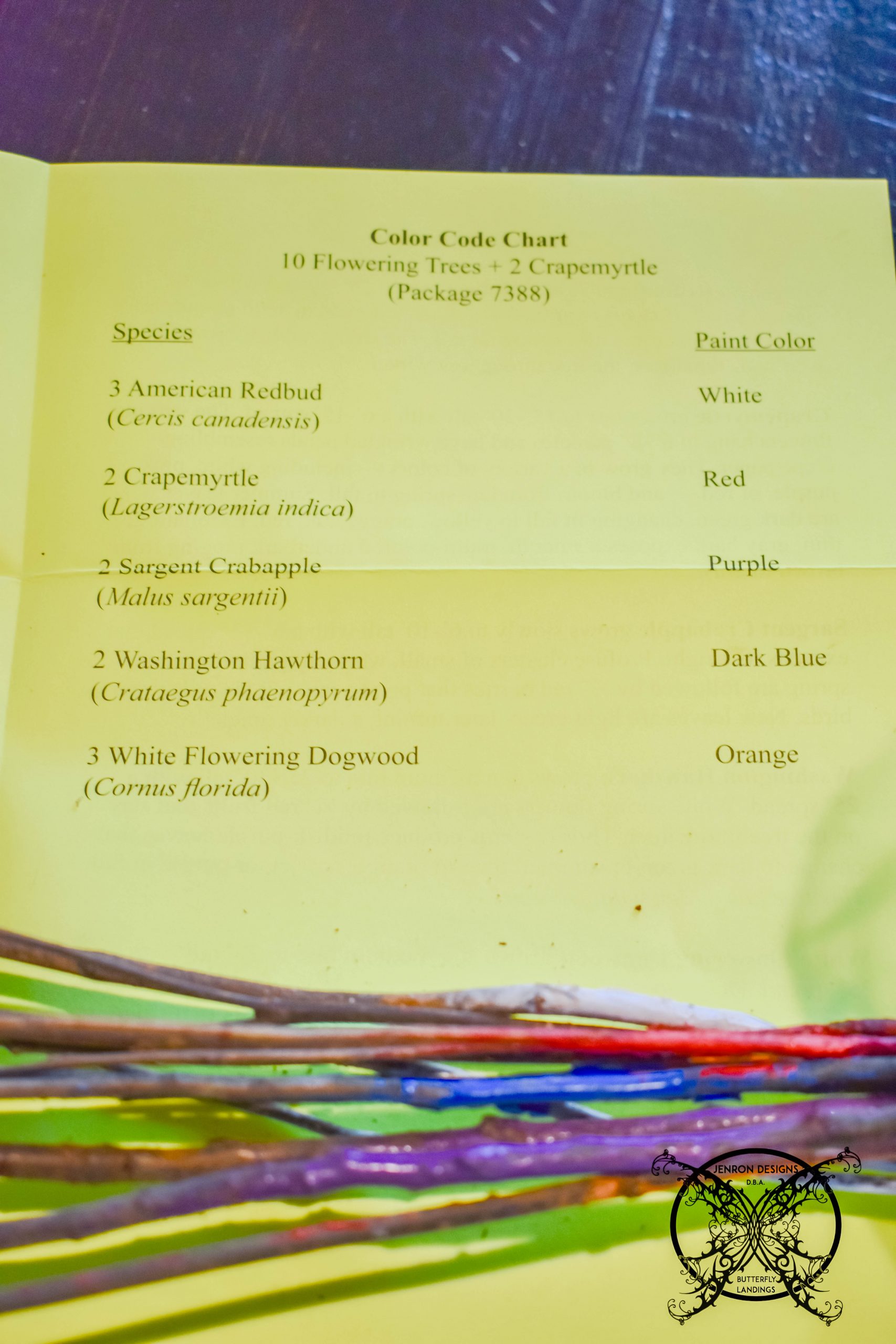 Colored Codes Baby Tree Arbor Foundation JENRON DESIGNS