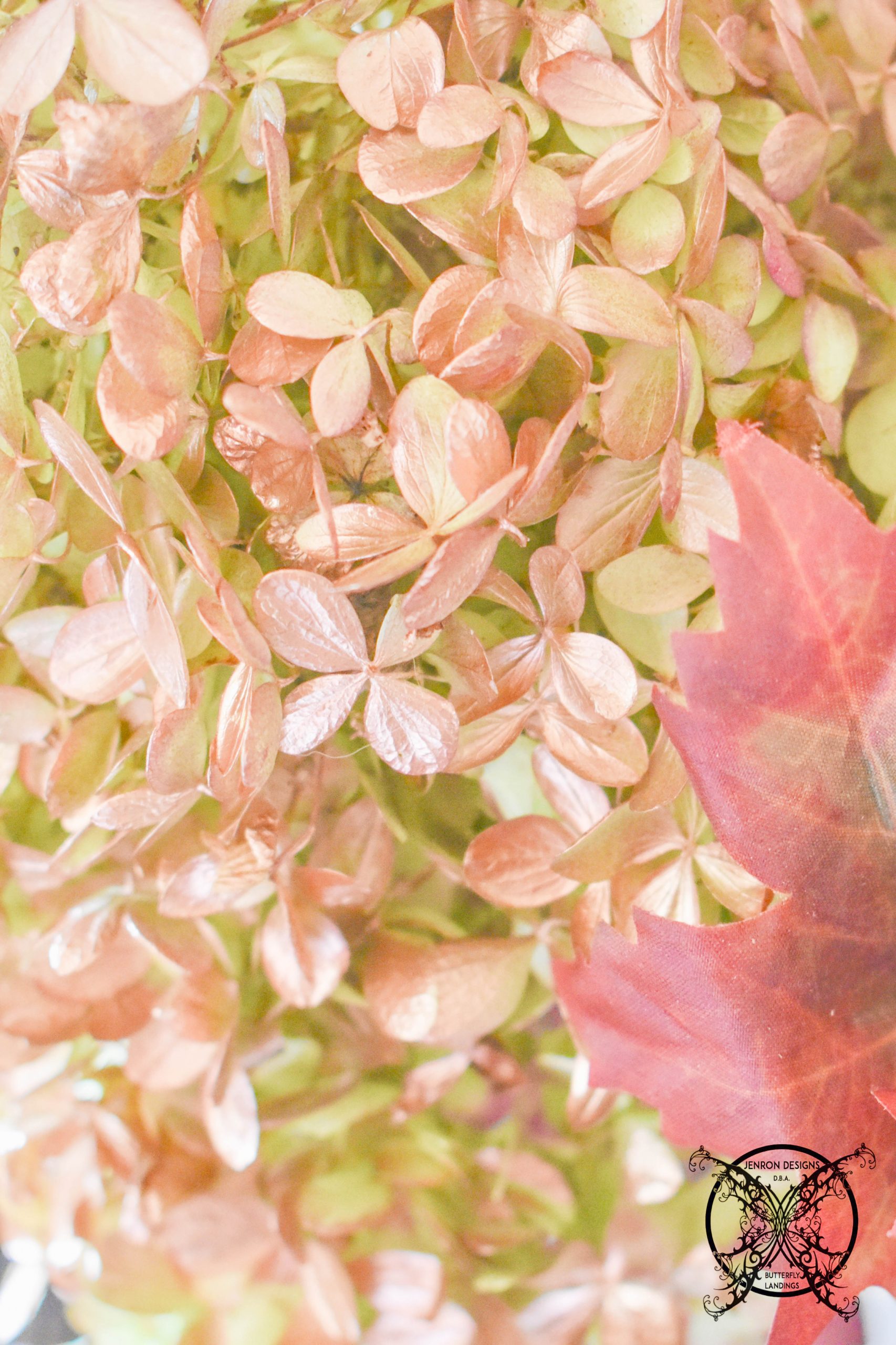 Drying Autumn Hydrangea JENRON DESIGNS