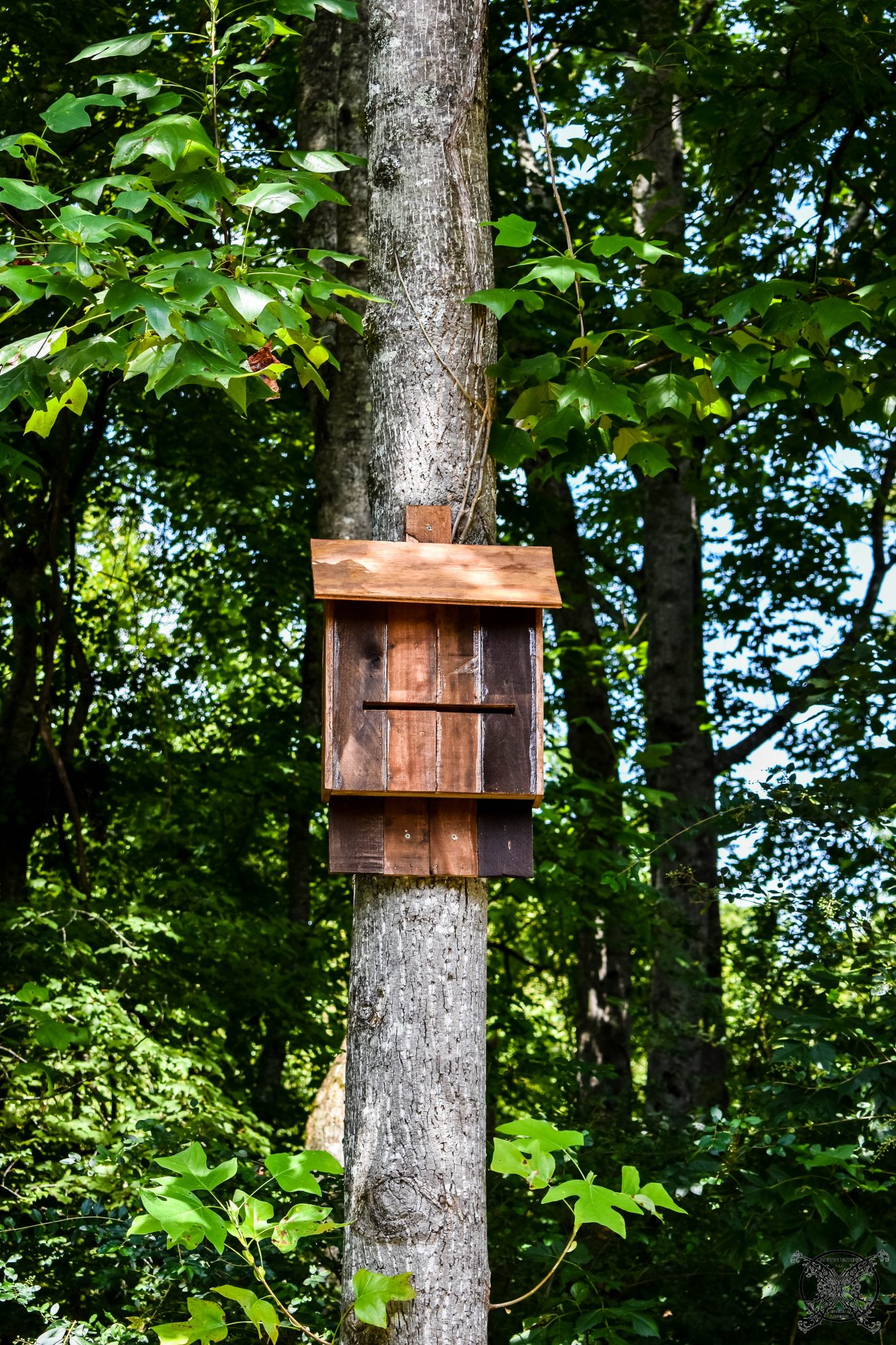 Bat House DIY JENRON DESIGNS