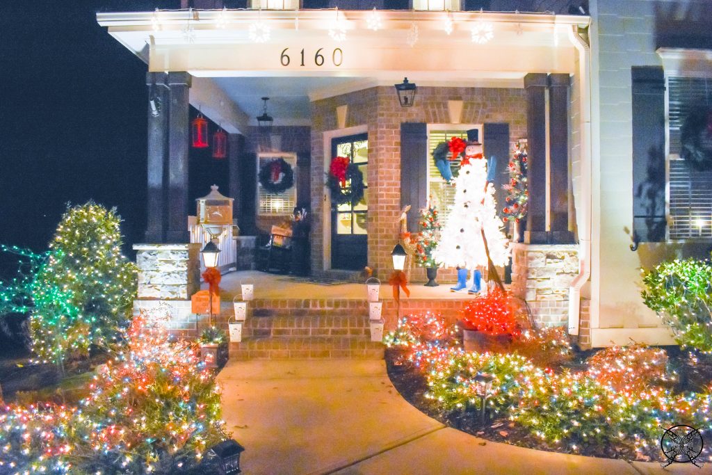 Holiday LIght Viewing Tips JENRON DESIGNS