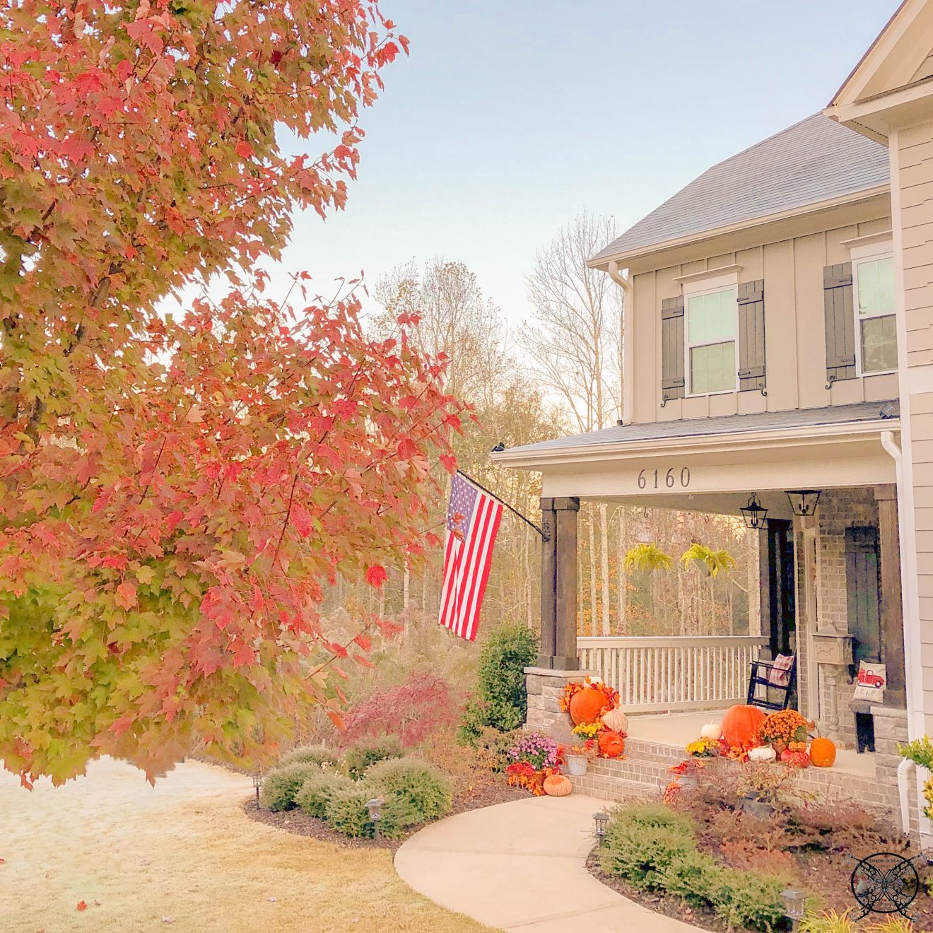 Sunset Maple Fall JENRON DESIGNS