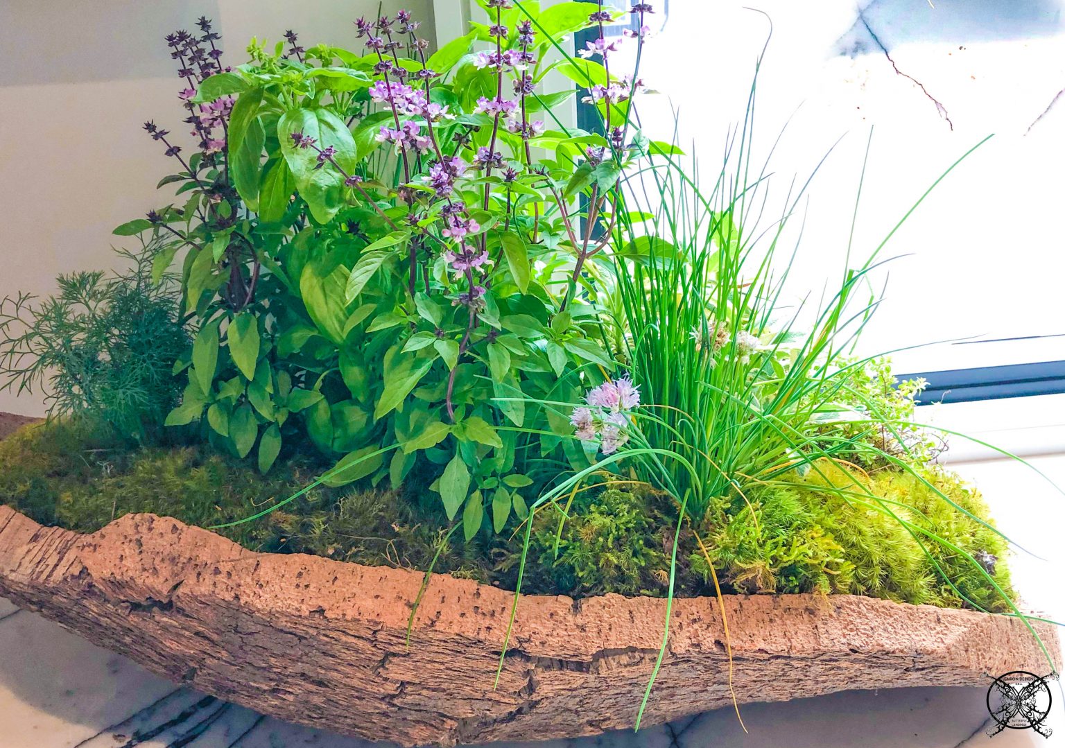 Easy Container Garden Combinations – JENRON DESIGNS