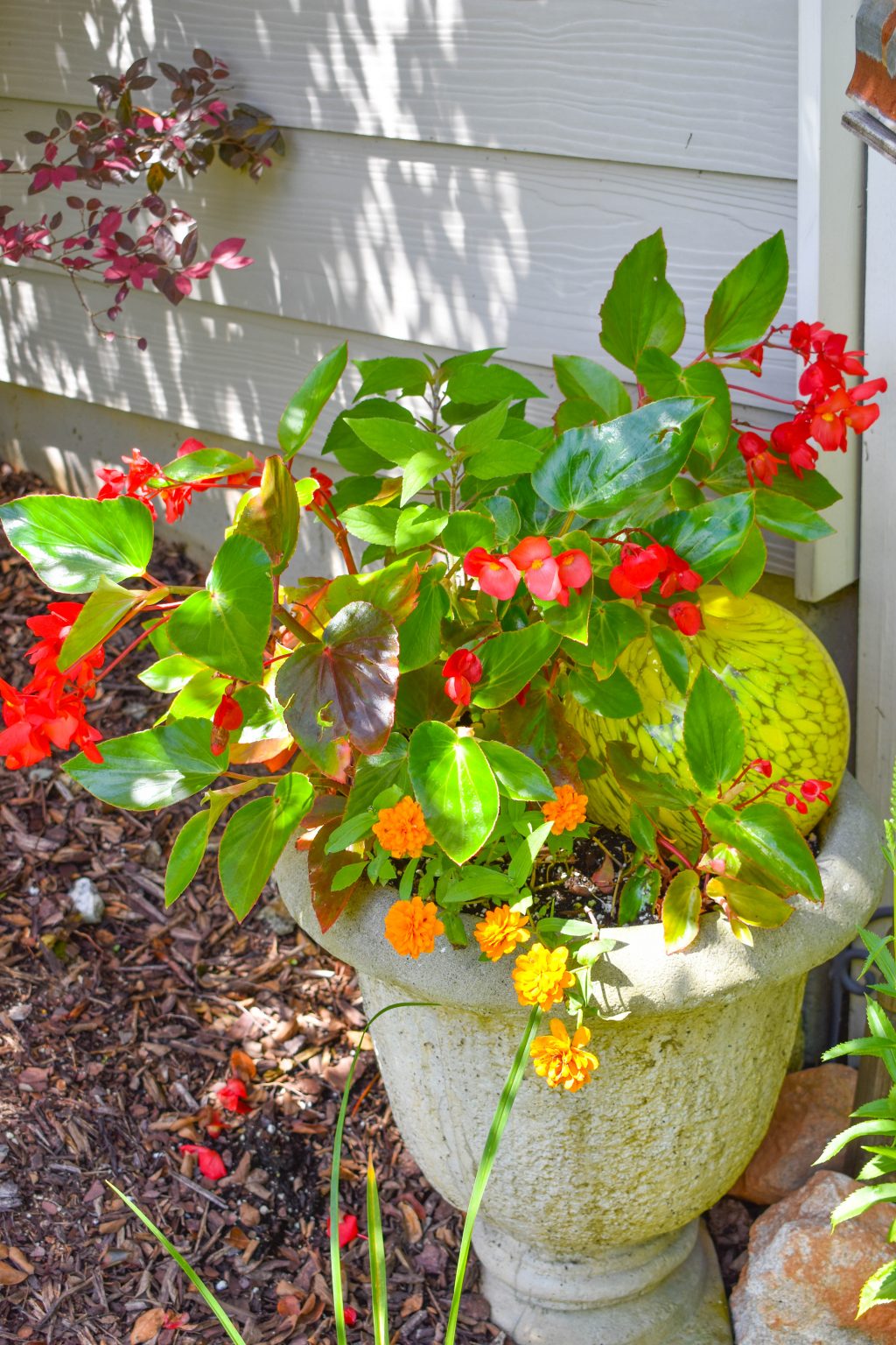 Easy Container Garden Combinations – JENRON DESIGNS